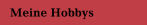 Meine Hobbys