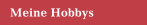 Meine Hobbys